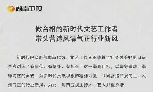 一些关于娱乐圈吃瓜总结,揭秘明星幕后故事与八卦传闻
